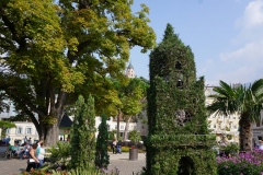 DSC06423